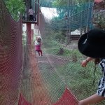 phoca_thumb_m_vp 2.den 236 Fotogalerie